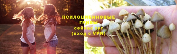 дурь Белоозёрский