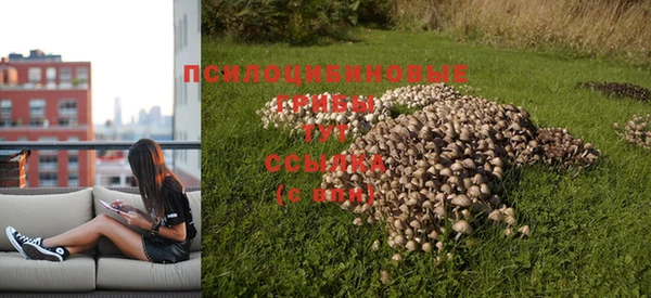 дурь Белоозёрский