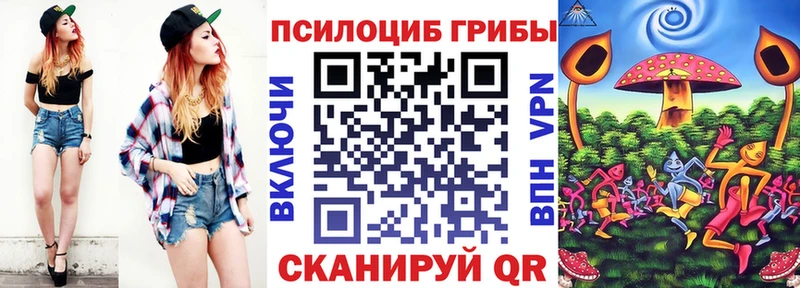 Галлюциногенные грибы Psilocybine cubensis как найти Пересвет